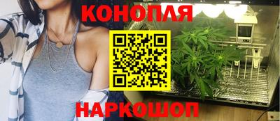 гашик Лесосибирск