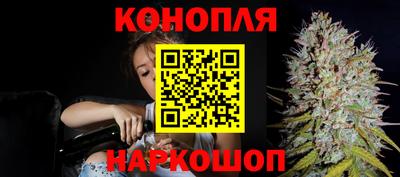 гашик Лесосибирск
