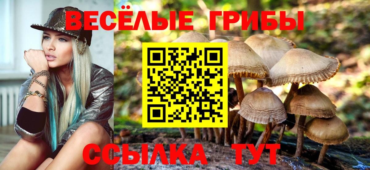 Галлюциногенные грибы GOLDEN TEACHER  Псилоцибиновые грибы мицелий  Вход с VPN  Ишим 