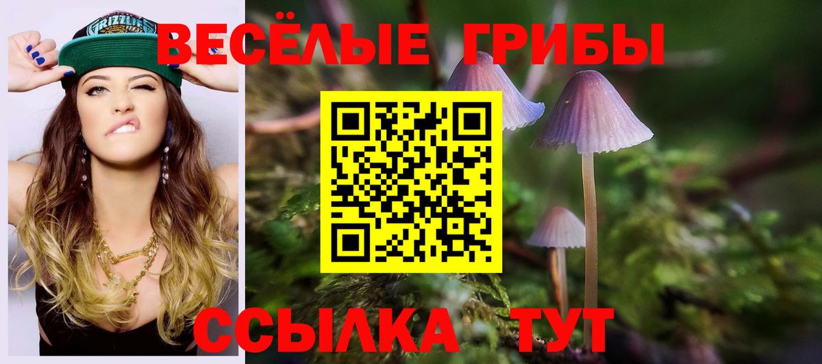 Псилоцибиновые грибы мухоморы Ишим